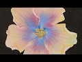Hibiscus Flower Blossom Acrylic Painting LIVE Tutorial