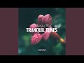 Andiamo Original Mix Andiamo Original Mix