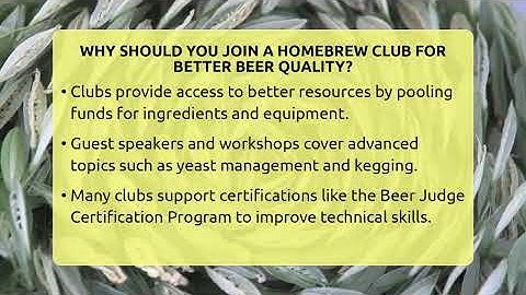 Why Should You Join A Homebrew Club For Better Beer Quality? - The Pint Guy