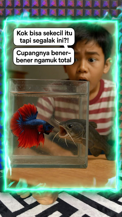 KALIAN PERNAH PIARA IKAN CUPANG GAK GUYS? #seram #horror #storytelling