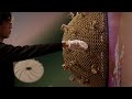 森美術館「ワールド・クラスルーム」ヤン・ヘギュ《ソニック・ハイブリッド──デュアル・エナジー》|Yang Haegue "The Sonic Hybrids – Dual Energy"