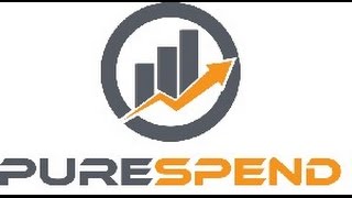 PureSpend™ Technology - When You Need a Hassle-Free Spend Analysis