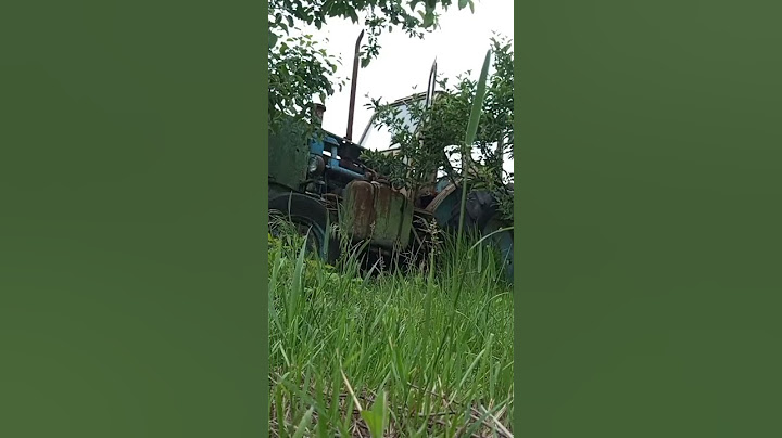 НЕОЖИДАННАЯ НАХОДКА 🤯