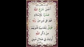 سورة الزمر الآية ( 22 )