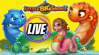 Little Big Snake Topik Stream 79