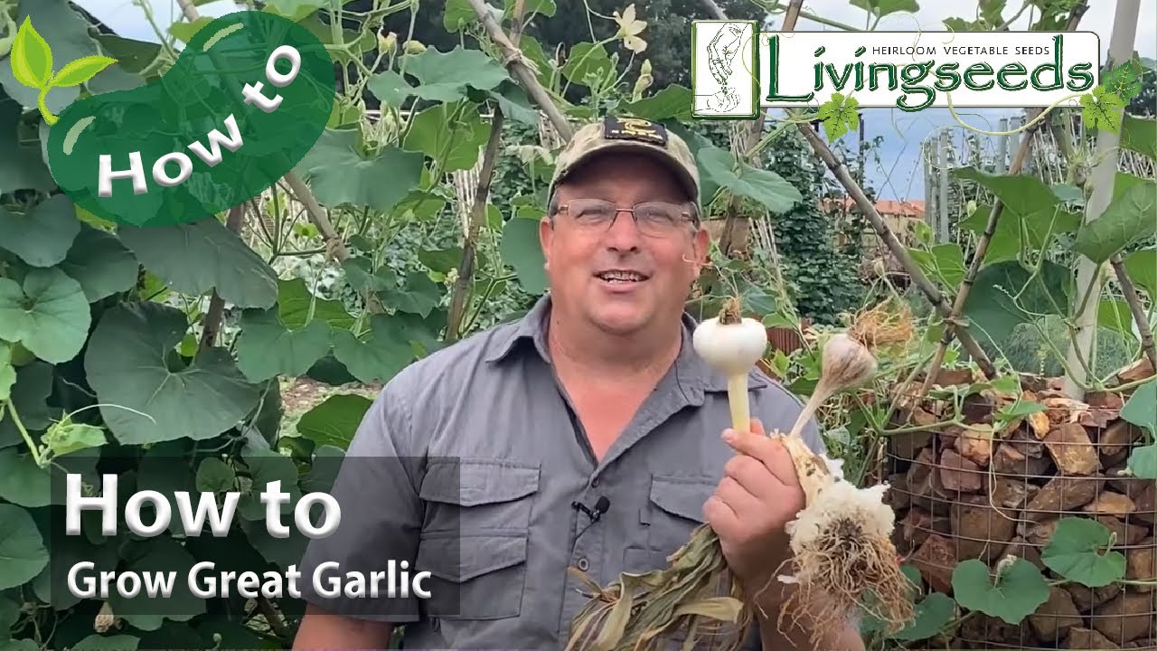 Grow Your Own Garlic Zoom Program in Kankakee County