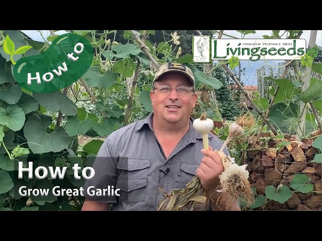 Grow Your Own Garlic Zoom Program in Kankakee County