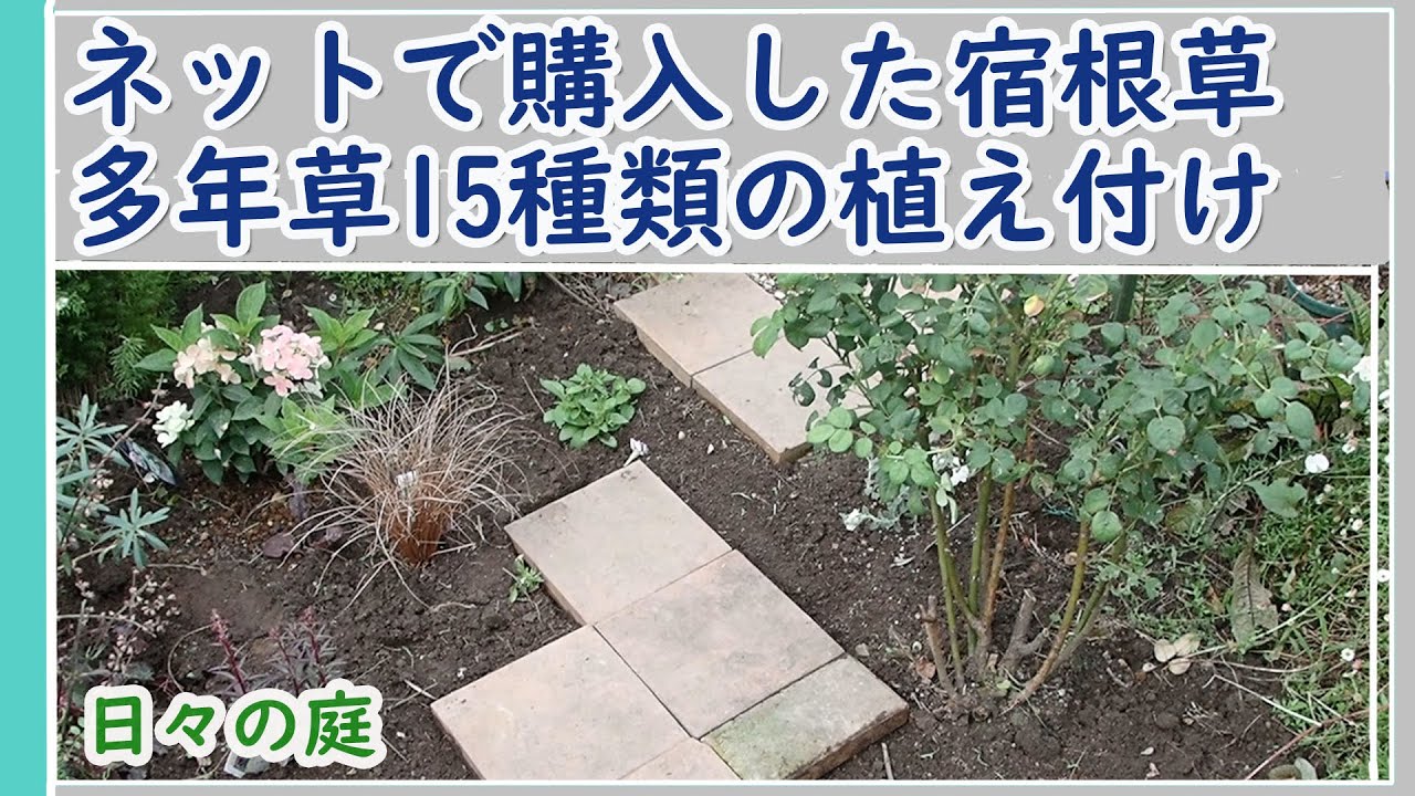 ネットで購入した宿根草の植え付け】宿根草多年草15種類