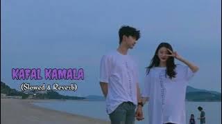 Kafal Kamala (Slowed & Reverb) Swastima Khadka, Nischal Basnet