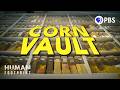 Exploring the Impact of Maize