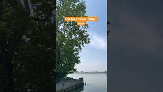 Dal lake| Char chinar | #dailyroutine #vlog #kashmir #lake #everydayvlog #srinagar #trending