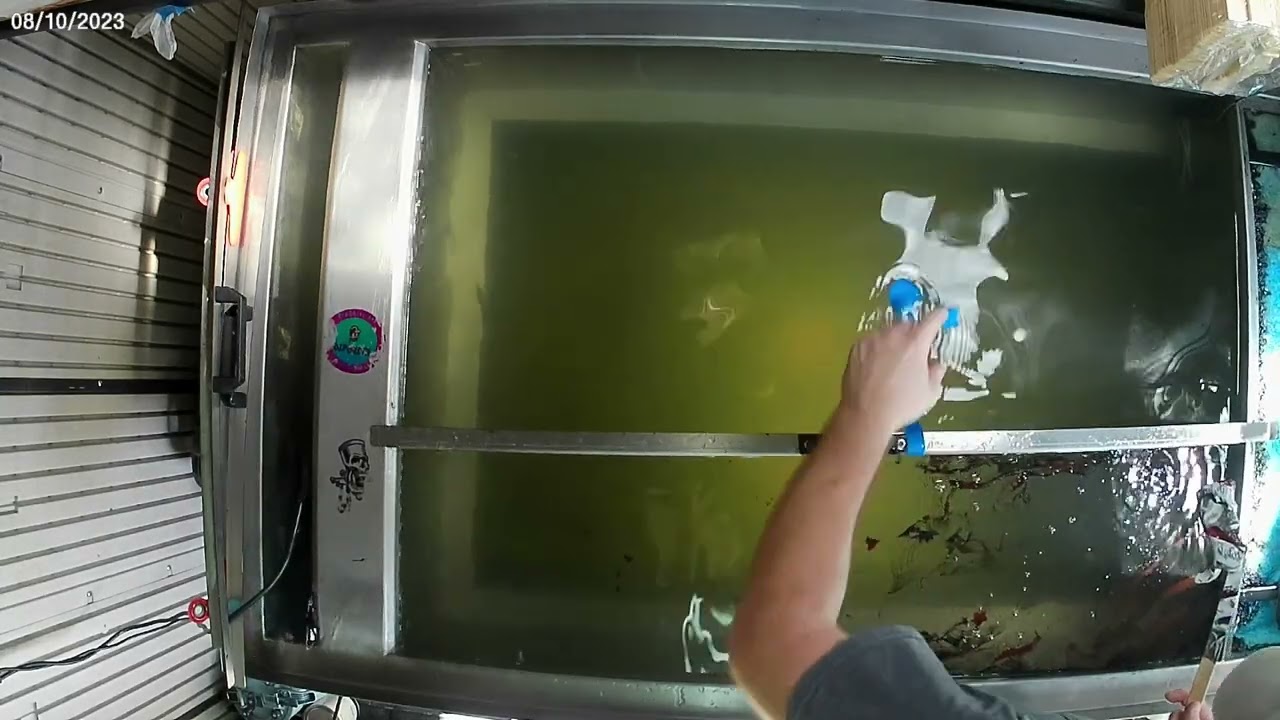 We the people film (Hydrographics)