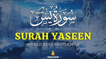 Surah Yaseen (Yasin) سورة يس with Urdu translation | Mishary Rashid Alafasy | 4K Quran