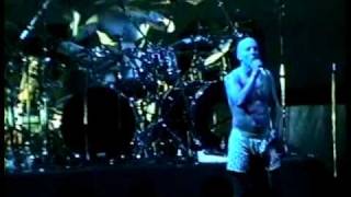 TOOL - AENIMA LIVE New Jersey 1997 chords