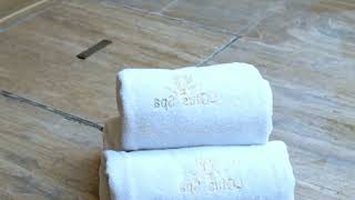 A Moment of Luxury Lotus Spa