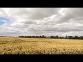 Eurofighter Typhoon high speed pass RIAT 2017