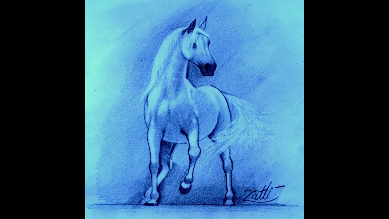 How-To-Draw-Horses  Drawing lessons, Cavalo desenho, Cavalos