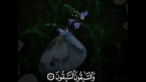 أجمل تلاوة سمعتها في حیاتي || اسلام صبحي حالات واتس اب راحة نفسيـة || سورة الواقعة