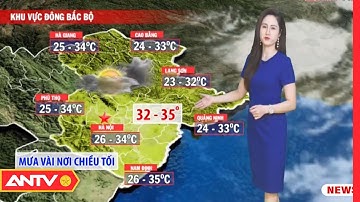 Dự báo thời tiết tối 14/7: Bắc Bộ có mưa rào và dông rải rác | ANTV