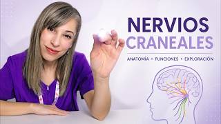 ASMR Neurológico🧠Exploración de tus Nervios Craneales | Examen relajante