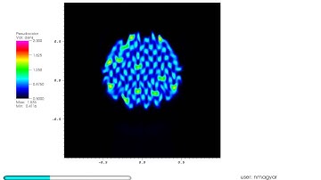 Multi-stranded coronal loop driven by transverse oscillations