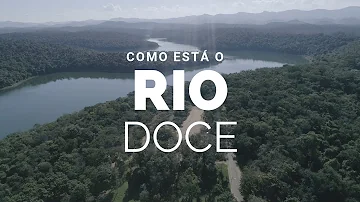 Qual a importância do rio Doce para região?