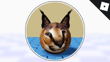 How to get the ROUND FLOPPA BADGE & MORPH in FIND THE FLOPPA MORPHS | Roblox