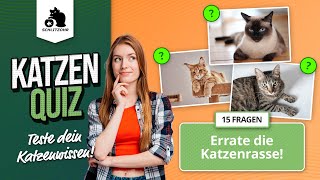 ❓Katzen Quiz - Errate die Katzenrasse! | 15 Fragen | Katzenrätsel für Katzenfans | Katzenspiel by Schlitzohr - Haustierkanal 1,240 views 7 months ago 3 minutes, 24 seconds