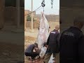 المعروف الوالدين بدوار العين براهيم أوصالح المعروف الوالدين بدوار العين براهيم أوصالح