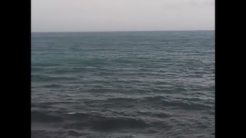 ماذا يقرأ في صلاة الفجر والصبح بعد سورة الفاتحة يوم الجمعة؟ لا يعرفها كثير من المسلمين