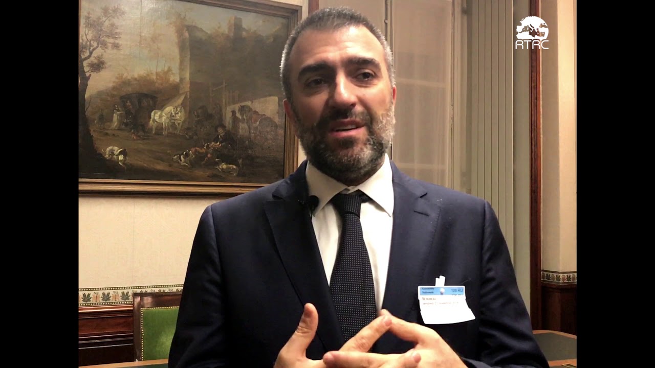 Interwiew Haykal Rayan - économiste, Liban - YouTube