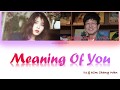 IU (아이유) - Meaning of You (너의 의미) [Vostfr/ Rom/ Hang]