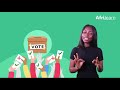 Elections  civic education  afrilearn