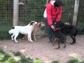 Beni, Linda &amp; Luna