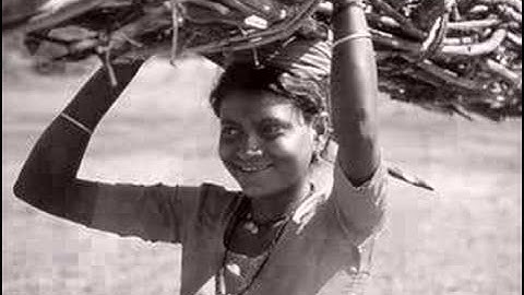 Chinmaya Dunster and the Celtic Ragas Band: PAYING THE PRICE - WOMEN AND MINORITIES