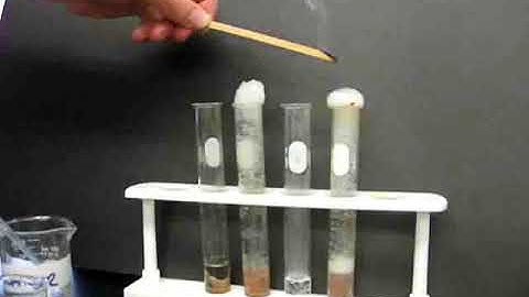 SchoolTube   Liver Enzyme Lab