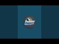 crazy parrot is live