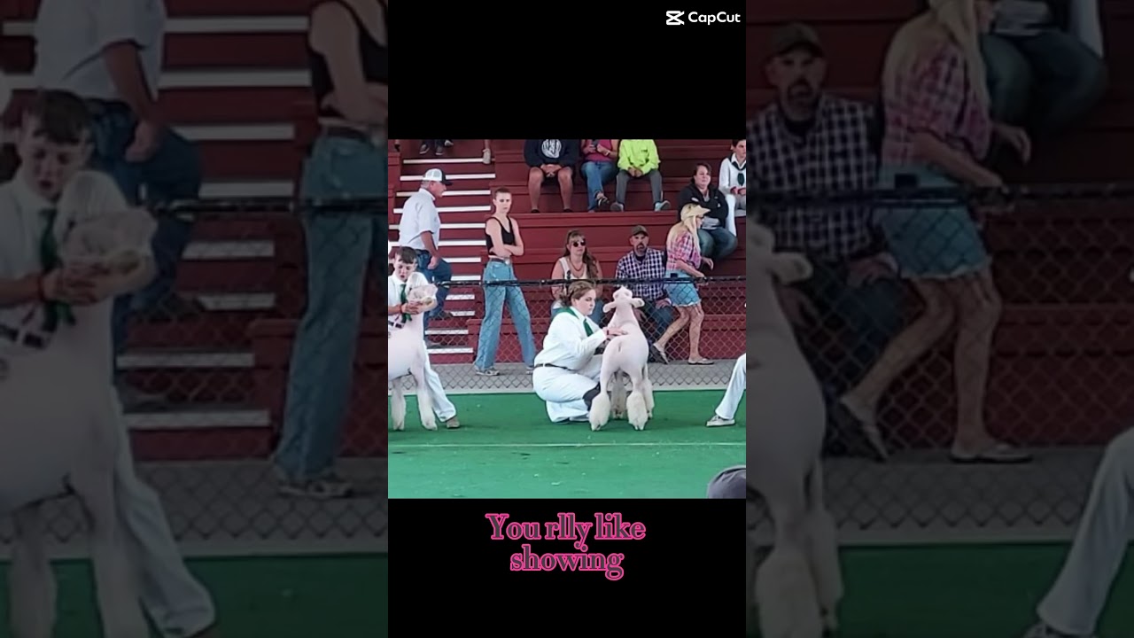 What’s there not to love 