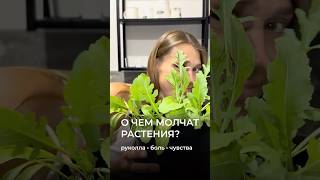 Растения умеют читать наши мысли!