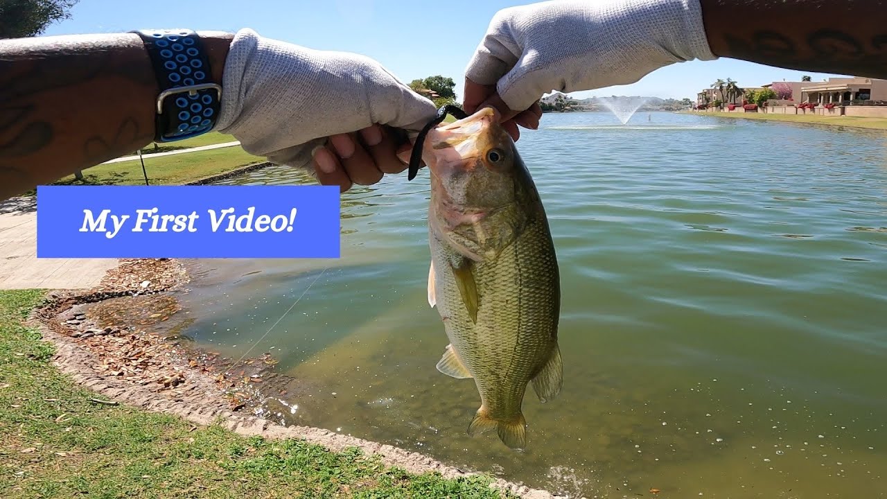 Bass Fishing From The Bank, My First Video!! YouTube