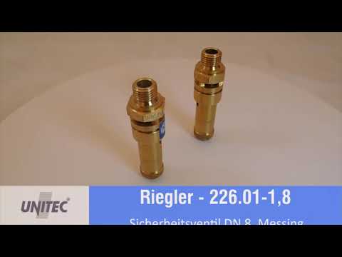 226.01-1,8 — Riegler