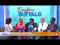 Daytime buffalo 716based musicians collaborate and make a new bills anthem