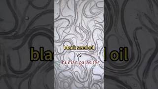 Black Seed Oil vs Parasites #shorts
