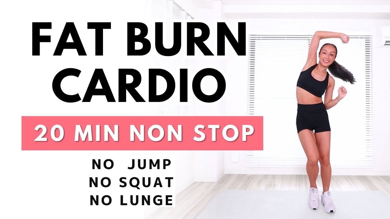 FAT BURN CARDIO / 20MIN NON STOP / No Squat, No Jump, No Lunge