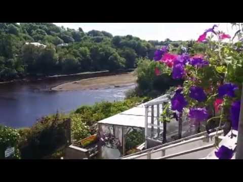 Chambers Garden Centre Newport Youtube