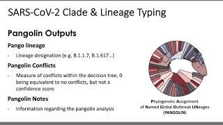 Outputs Generated by the Titan Workflows for Genomic Characterization: Part 2 Clades and Lineages