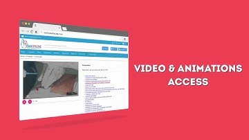 Video and Animation  Access