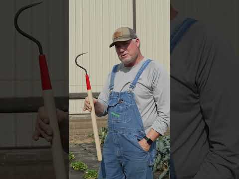 Video: Gereedskap vir gestremde tuiniers - wenke om tuingereedskap makliker te maak om te gebruik