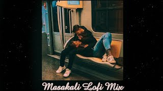 Masakali Lofi Mix | Slowed And Reverb | Bollywood Lofi #masakali #lofi #ncslofi #indianlofi
