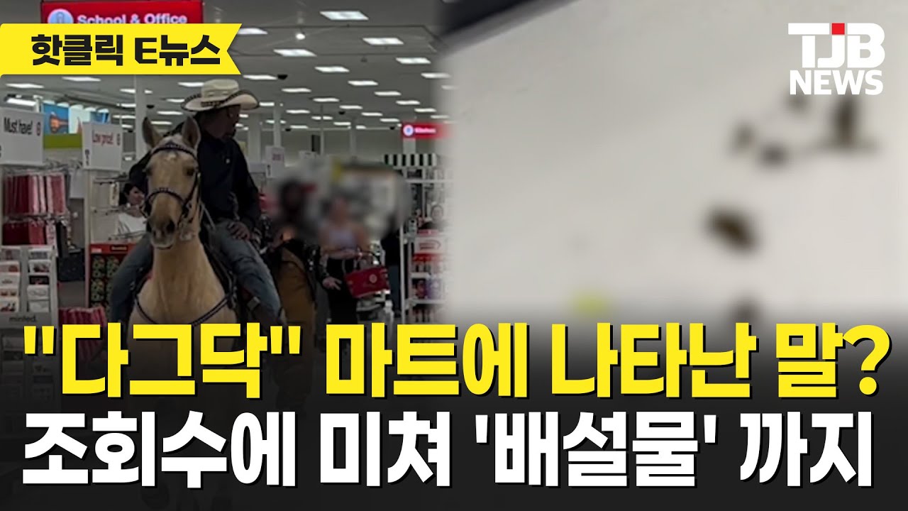 "다그닥" 마트에 나타난 말? 조회수에 미쳐 '배설물' 까지｜ TJB 대전·세종·충남뉴스